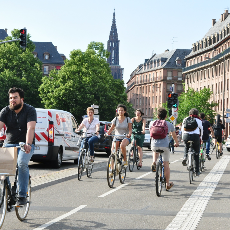 Bicicletas en carril bici